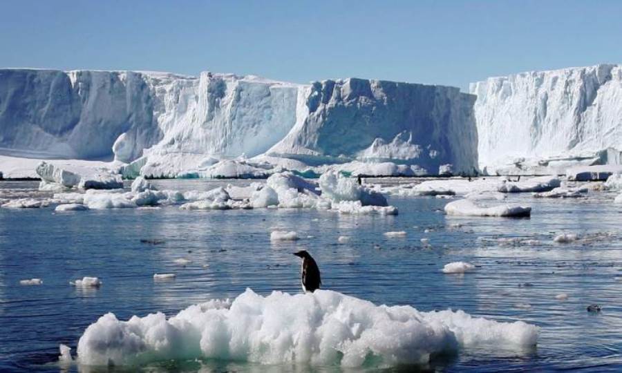 انخفاض قياسي في حجم الجليد بالقارة القطبية الجنوبية